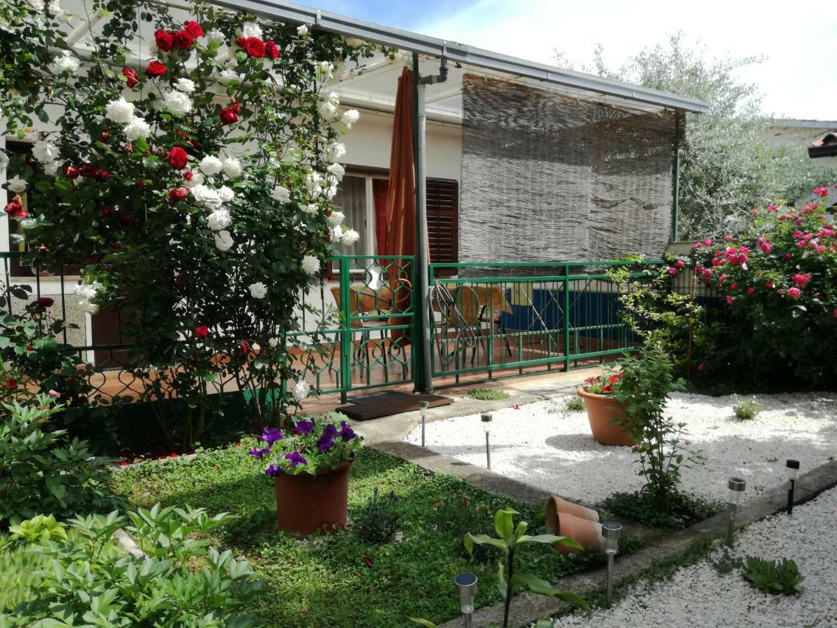 Vile Park Apartments Poreč Buitenkant foto